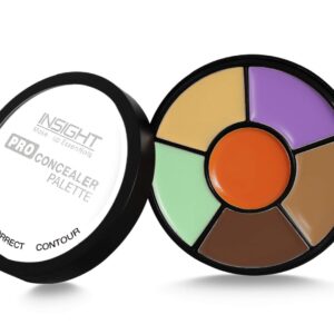 Insight Cosmetics Pro Concealer Palette (Corrector2) 15g